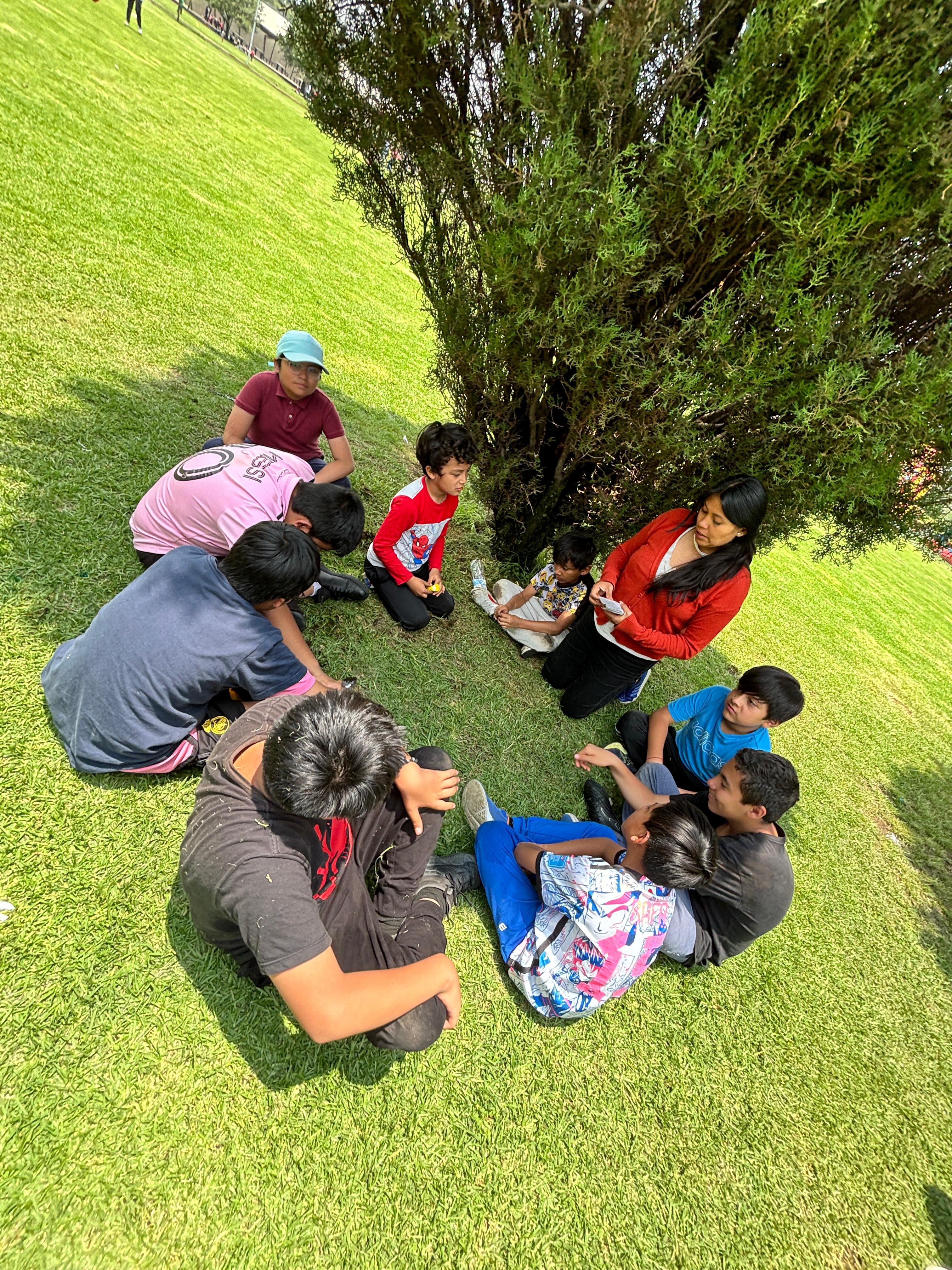 Actividades del curso de verano TEM